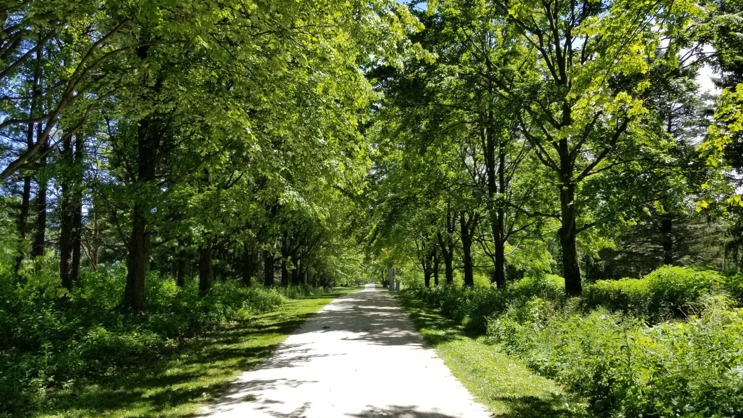 Saint James Forest Preserve 